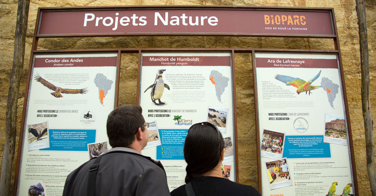 bioparc parc zoologique expo projets nature