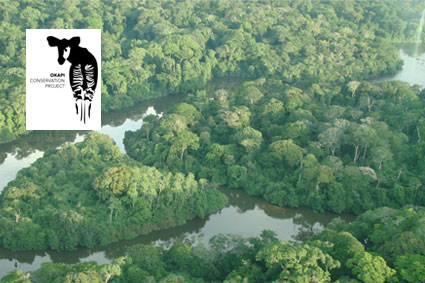 Bioparc-parc-zoologique-projet-nature-okapi-1