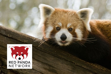 Bioparc-parc-zoologique-projet-nature-panda-2