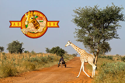 bioparc-parc-zoologique-projet-nature-girafe-niger-ASGN