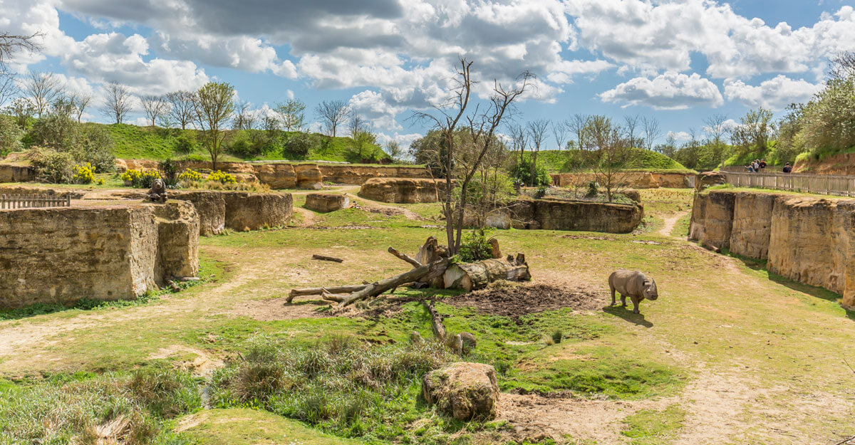 bioparc-parc-zoologique-vallee-des-rhinoceros