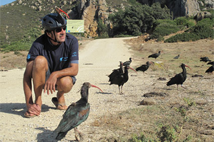 Bioparc-parc-zoologique-projet-nature-ibis-2